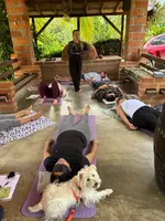 Regenerando el Suelo y Revitalizando el Ser