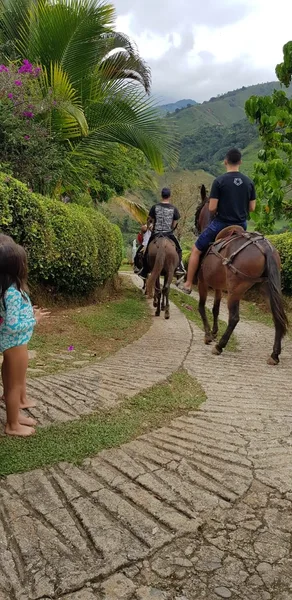 Cabalgata   (Tarifa por persona)