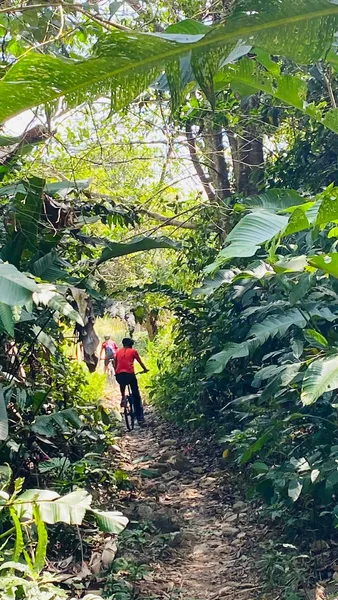 Guepaseo en Bicicleta o Caminando (Tarifa por persona)