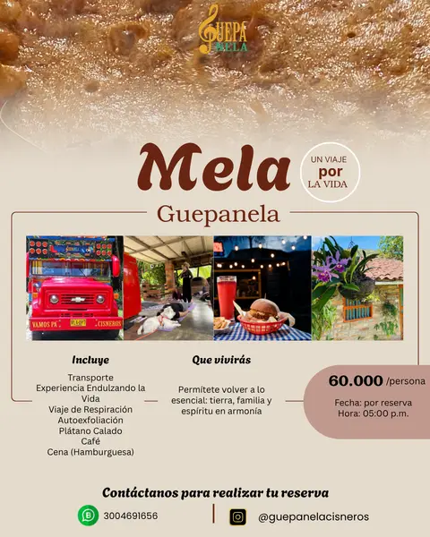 Mela Guepanela