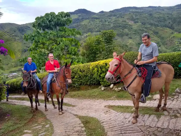 Cabalgata   (Tarifa por persona)