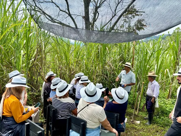 imagen Sembrando Equilibrio