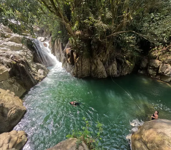 imagen Regenerando Mi Mente, Cultivando Mi Ser